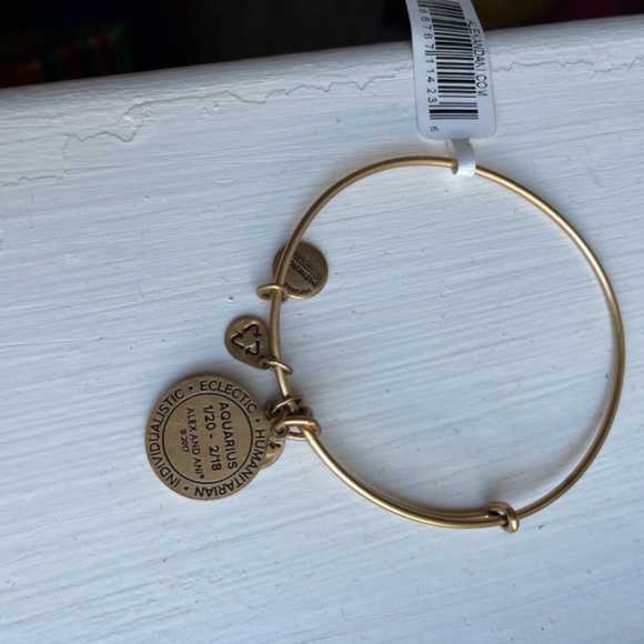 Alex and Ani Aquarius Bangle - Picture 3 of 3